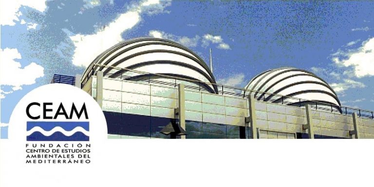 bolsas auxiliares CEAM