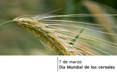 Hoy, 7 de marzo es el «Día Mundial de los Cereales»