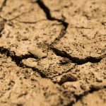 sequía